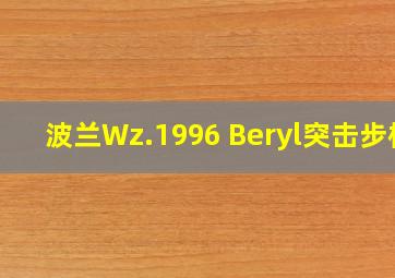 波兰Wz.1996 Beryl突击步枪